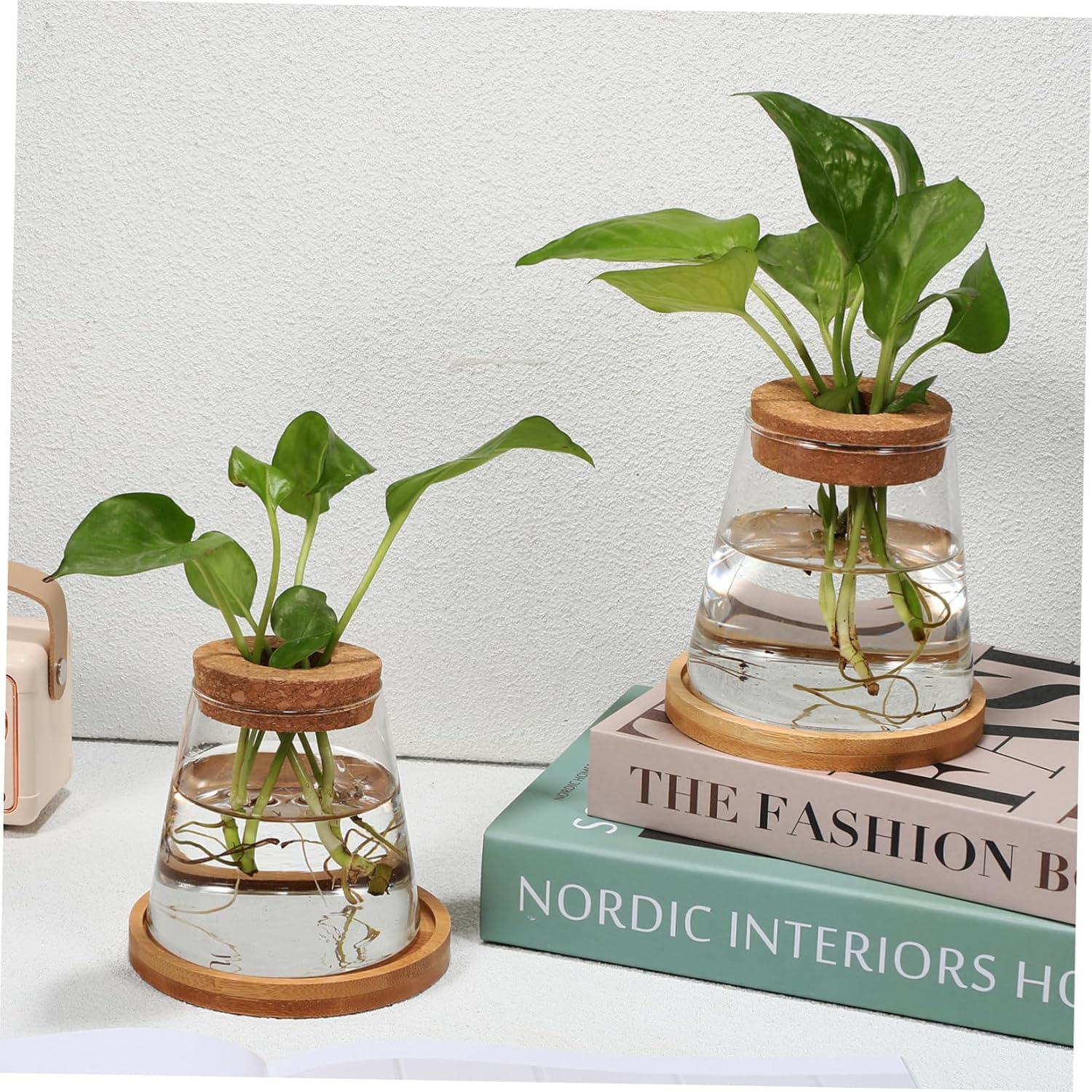 Gogogmee 2Pcs Hydroponic Propagation Station Glass Bottles with Wooden Cork and Bamboo Stand 330Ml for Indoor Plant Growing and Terrarium Gardening image number 4