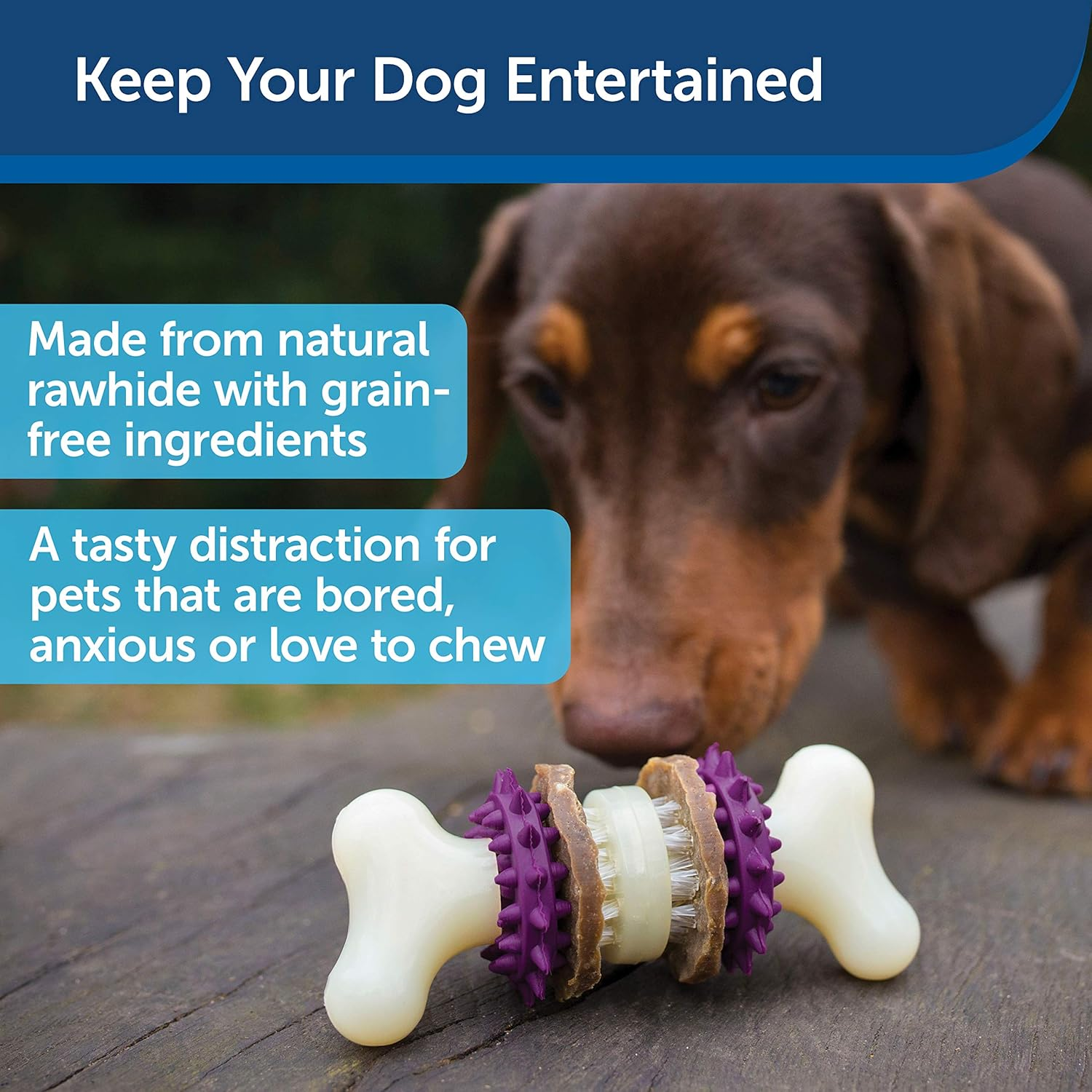 Petsafe Busy Buddy Bristle Bone Dog Toy, Chew Toy with Treats image number 2