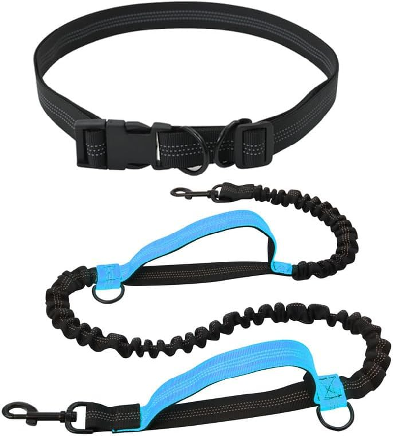 Hands Free Dog Leash, Retractable Dog Leash Running with Dual Bungees for Medium and Large Dogs, Adjustable Waist Belt Stitching Leash for Running Walking Hiking Jogging Biking (Orange)