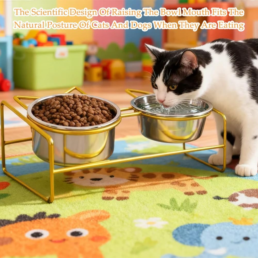 Cat Bowl, Double-Layer Stainless Steel Pet Bowl with 10&deg; Tilt Stand for Food and Water, Anti-Vomiting Cat Bowls Feeder, Ideal for Kittens and Small Dogs (Gold)