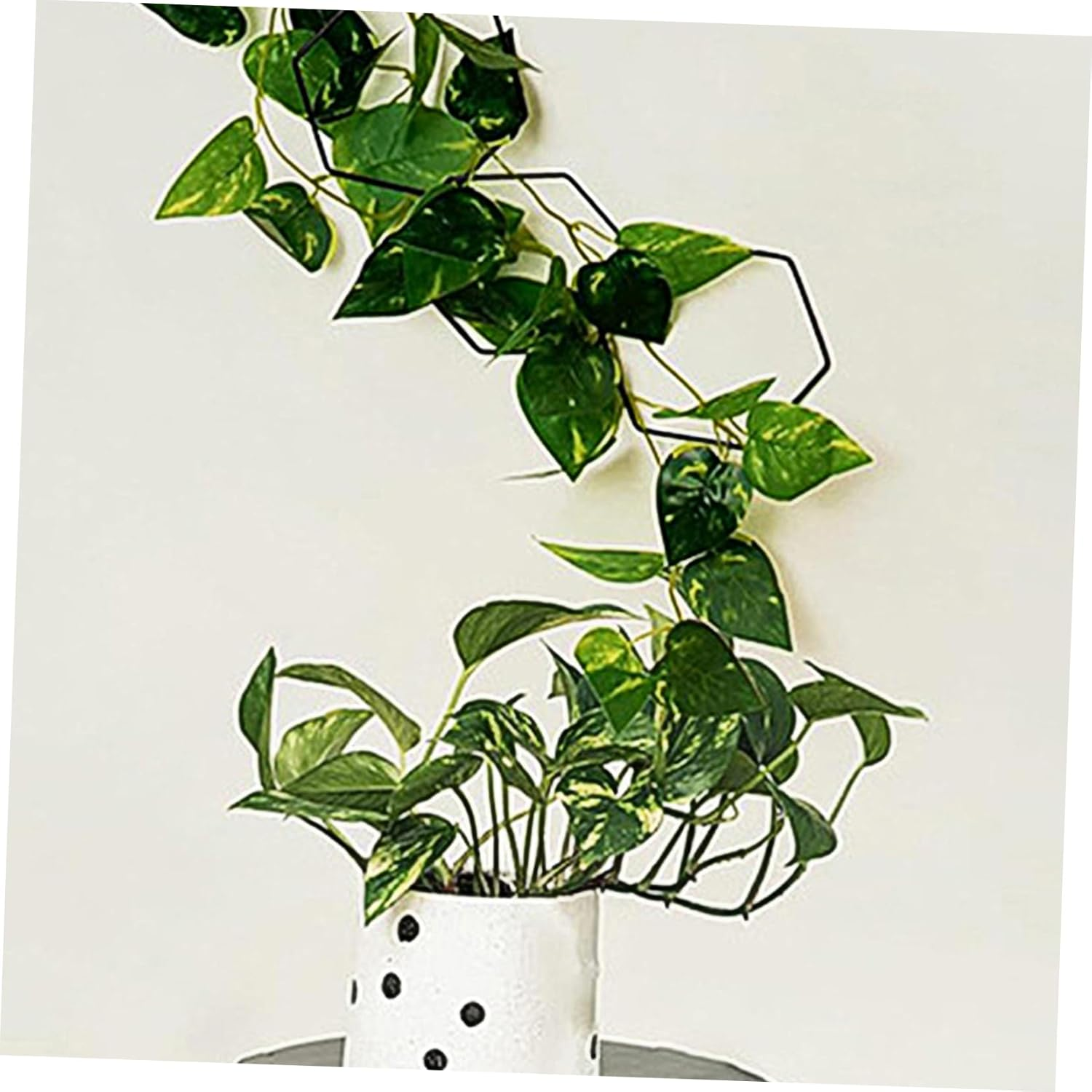 Parliky Plant Chain Trellis Garden Trellis for Climbing Plants Support Outdoor Support Unique Rack Garden Supplies image number 4