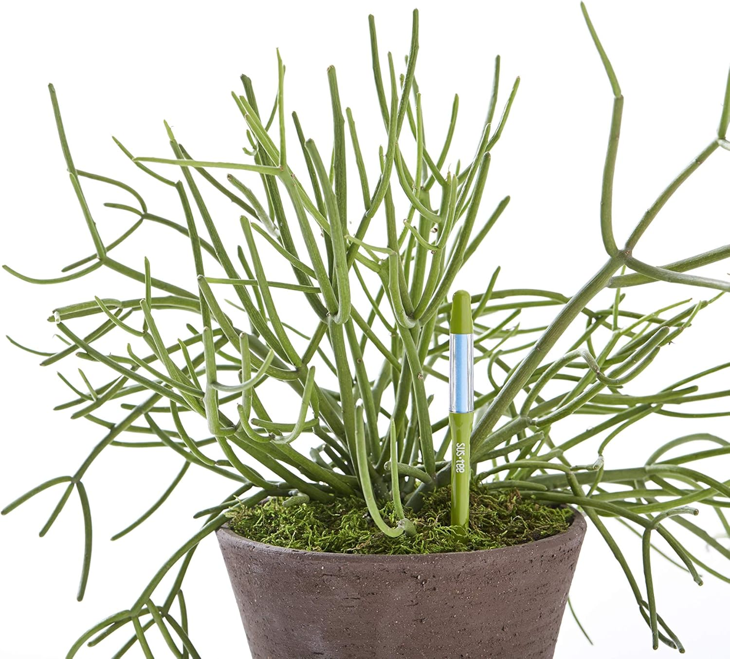 Cabinotier Aquameter (Green, Small), [Set of 10], Soil Moisture Meter,No Battery Required,[Japan Import],With English Instruction