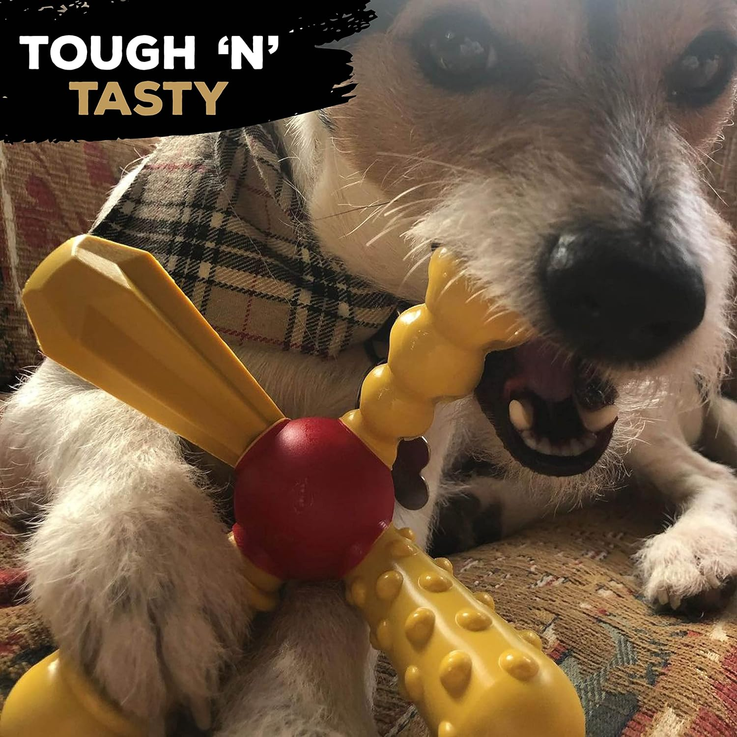 Tasty Bone Nylon Dog Chew Toy Quattro Chorizo Small image number 3