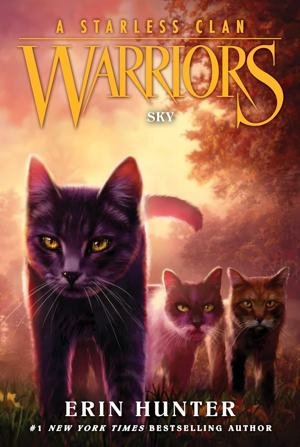 Warriors: a Starless Clan #2: Sky image number 1