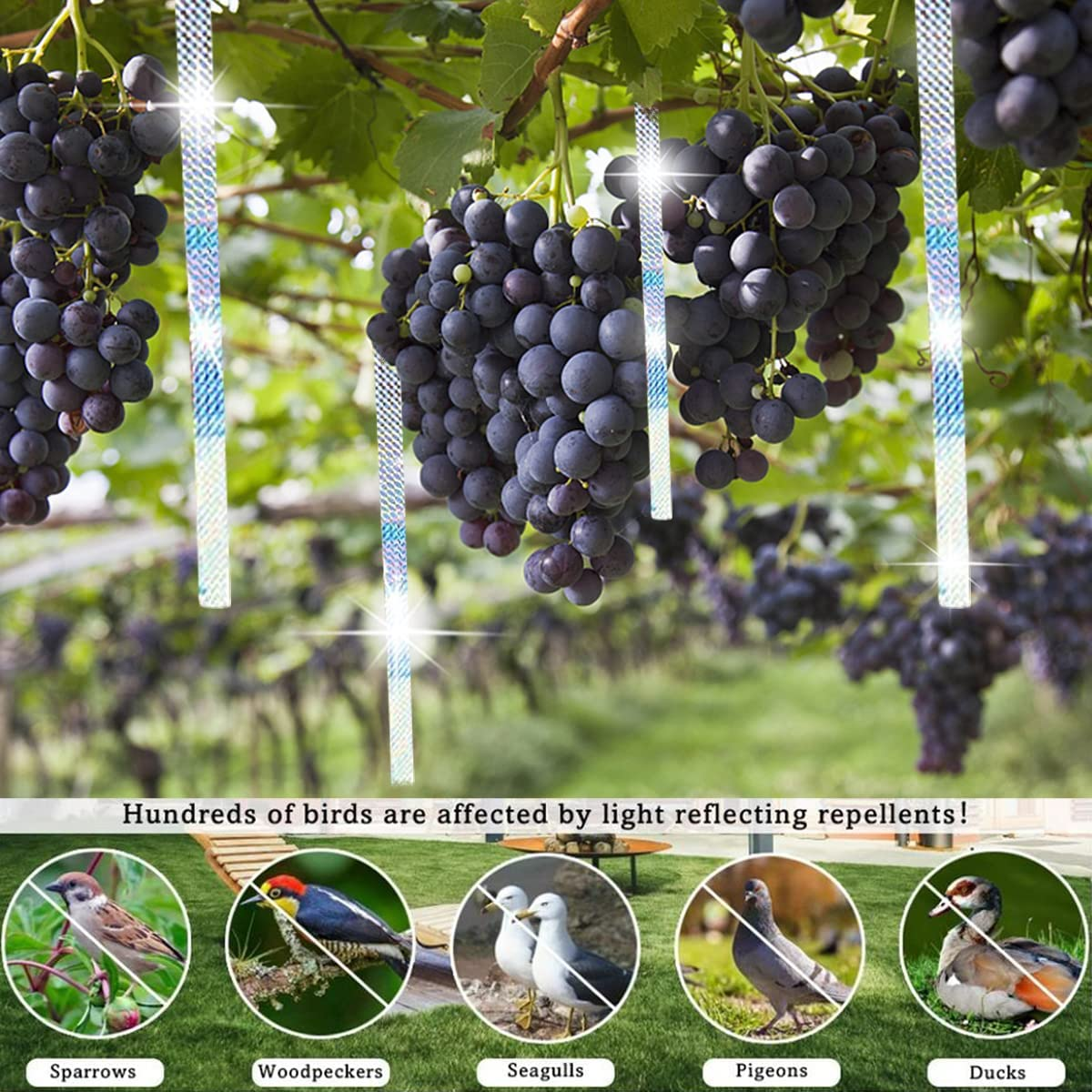 Folmywy Bird Scare Tape Double Sided Reflective Flashing Tape Ribbon Woodpecker Deterrent for House Deterrent Birds Pigeon Herons Away from Garden Farm Trees Orchard Crops