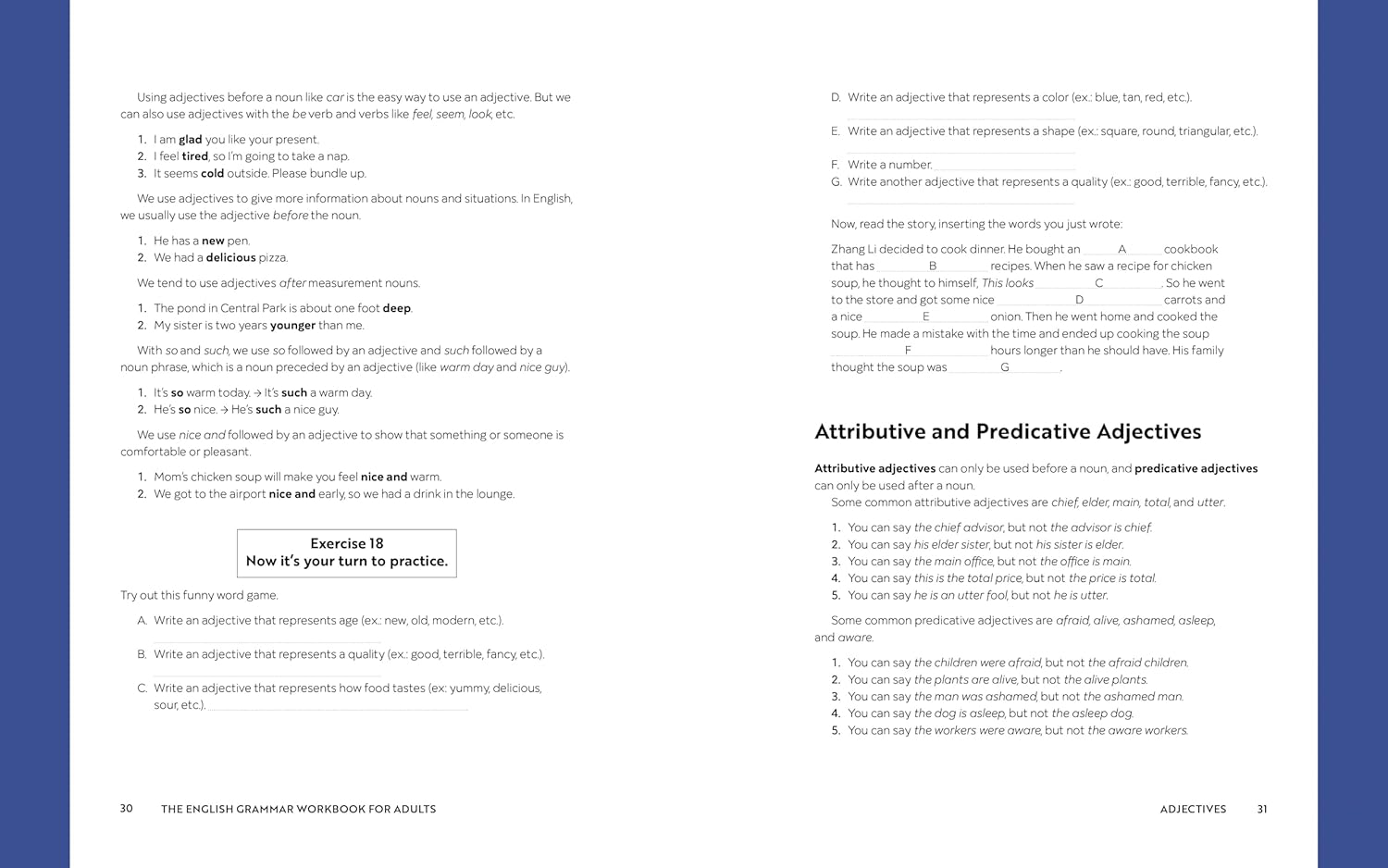 The English Grammar Workbook for Adults: a Self-Study Guide to Improve Functional Writing image number 5