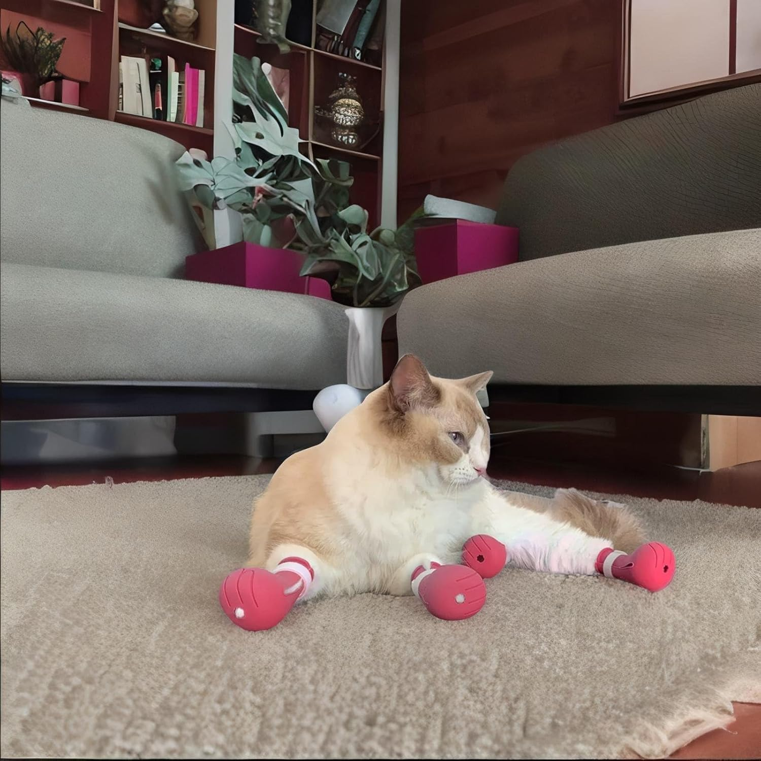 Anti-Scratch Cat Shoes Boots, 4Pcs Pet Scratch Deterrent Booties, Silicone anti Scratch Cat Feet Covers, Silicone Pet Anti-Scratch Shoes image number 1