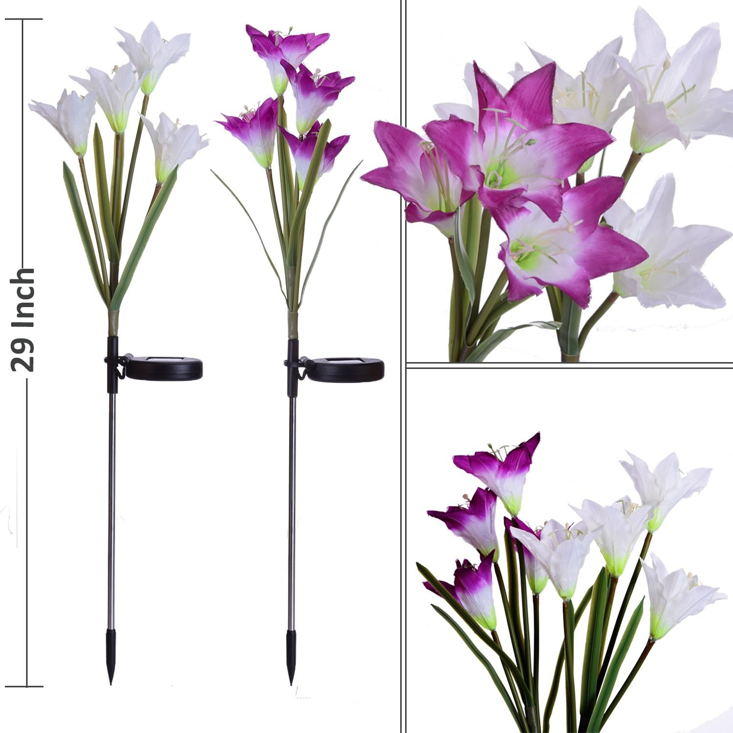 Outdoor Solar Garden Stake Lights - 2 Pack Solar Powered Lights with 8 Lily Flower Multi-Color Changing LED Solar Decorative Lights for Garden Patio Backyard (Purple and White) image number 1