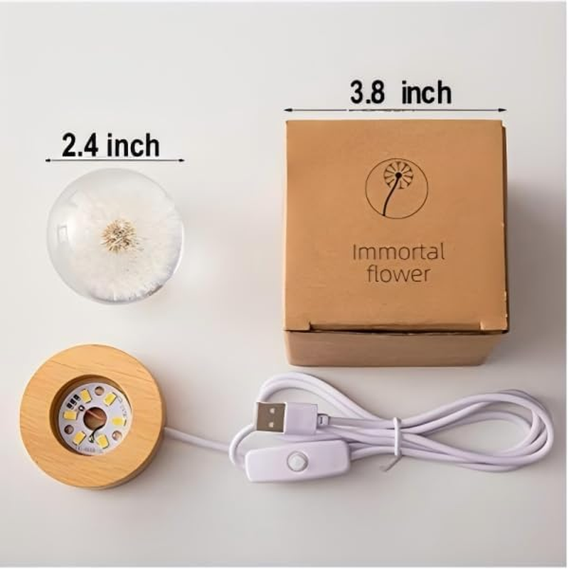 MARZIUS Flower Crystal Ball Night Light,2.4 Inch Glass Ball Night Lamp with Woodern Base (Red Daisy) - Yellow image number 6