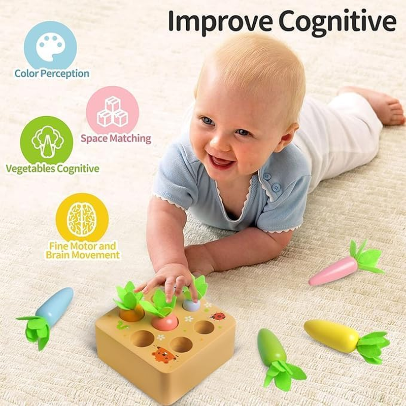 Montessori Toys for 3+ Year Old Wooden Toys Developmental Shape Sorting & Matching Puzzle Carrots Harvest Game Educational Learning Shape Sorting Matching Gifts for Toddlers Babies Boys and Girls