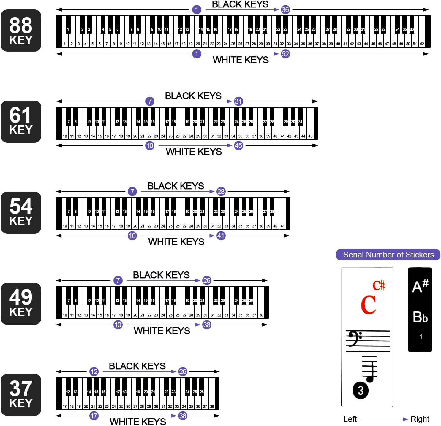 Piano Key Stickers, 61 Keyboard Piano Key Piano Keyboard Stickers Colorful Large Bold Letter Piano Stickers, Removable Piano Keyboard Note Labels, Piano Stickers for Beginners image number 4