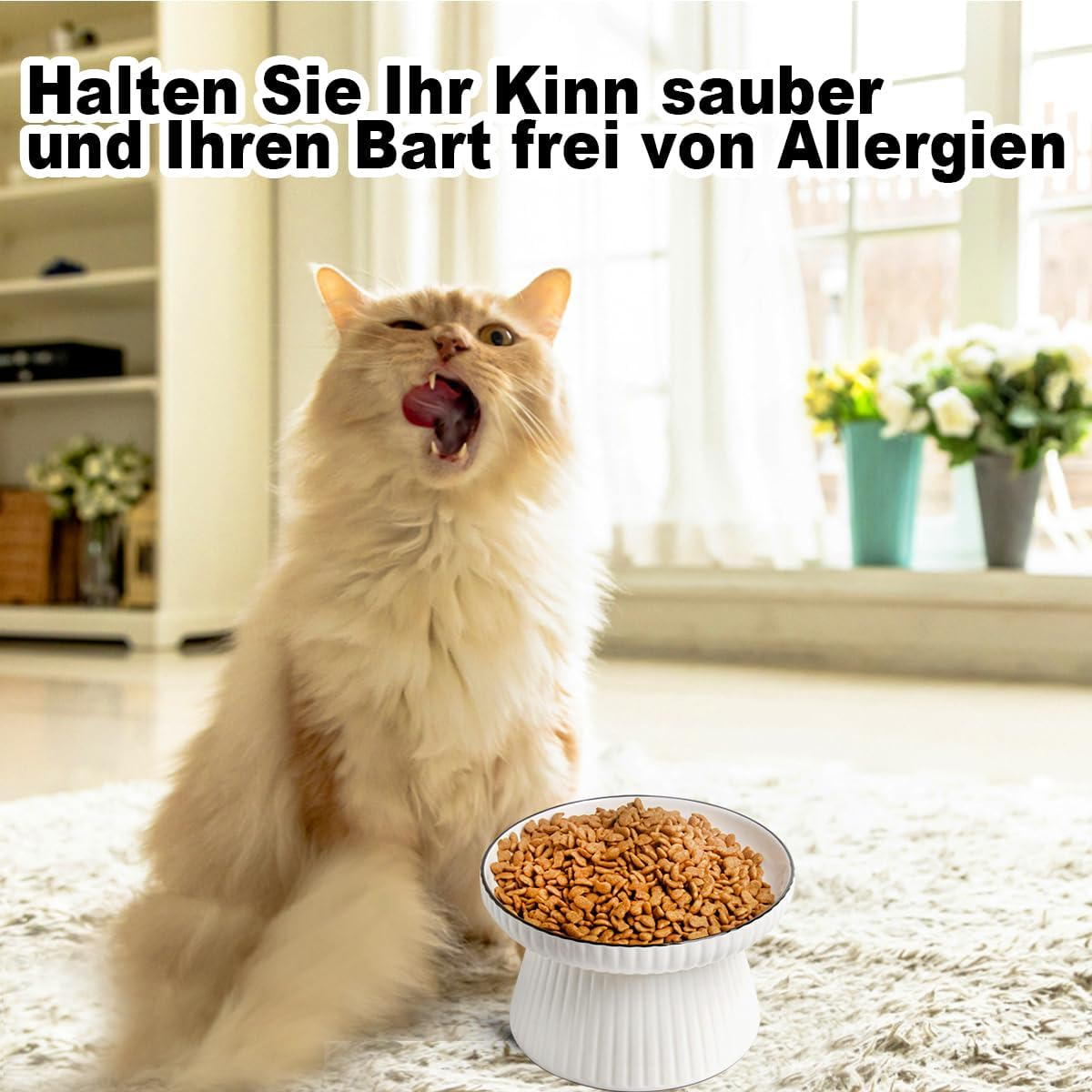 Ceramic Cat Feeding Bowl, Oversized Ceramic Cat Bowl, Raised Cervical Protection Cat Bowl, Cat Whiskers Allergies, Prevents Ceramic Bowl with Large Capacity image number 6