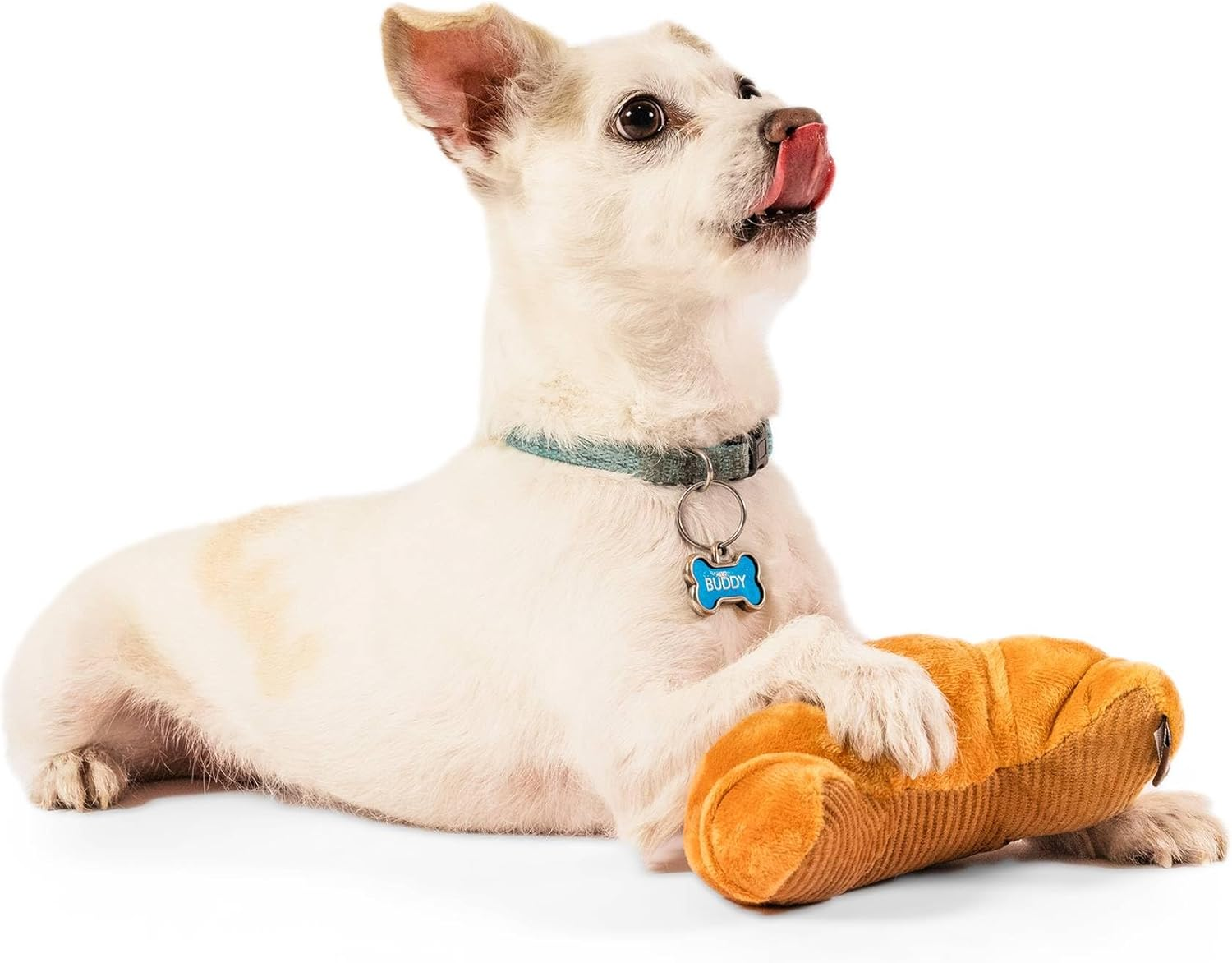 P.L.A.Y Dog Toy_Plush Toy - Croissant_Xs image number 6