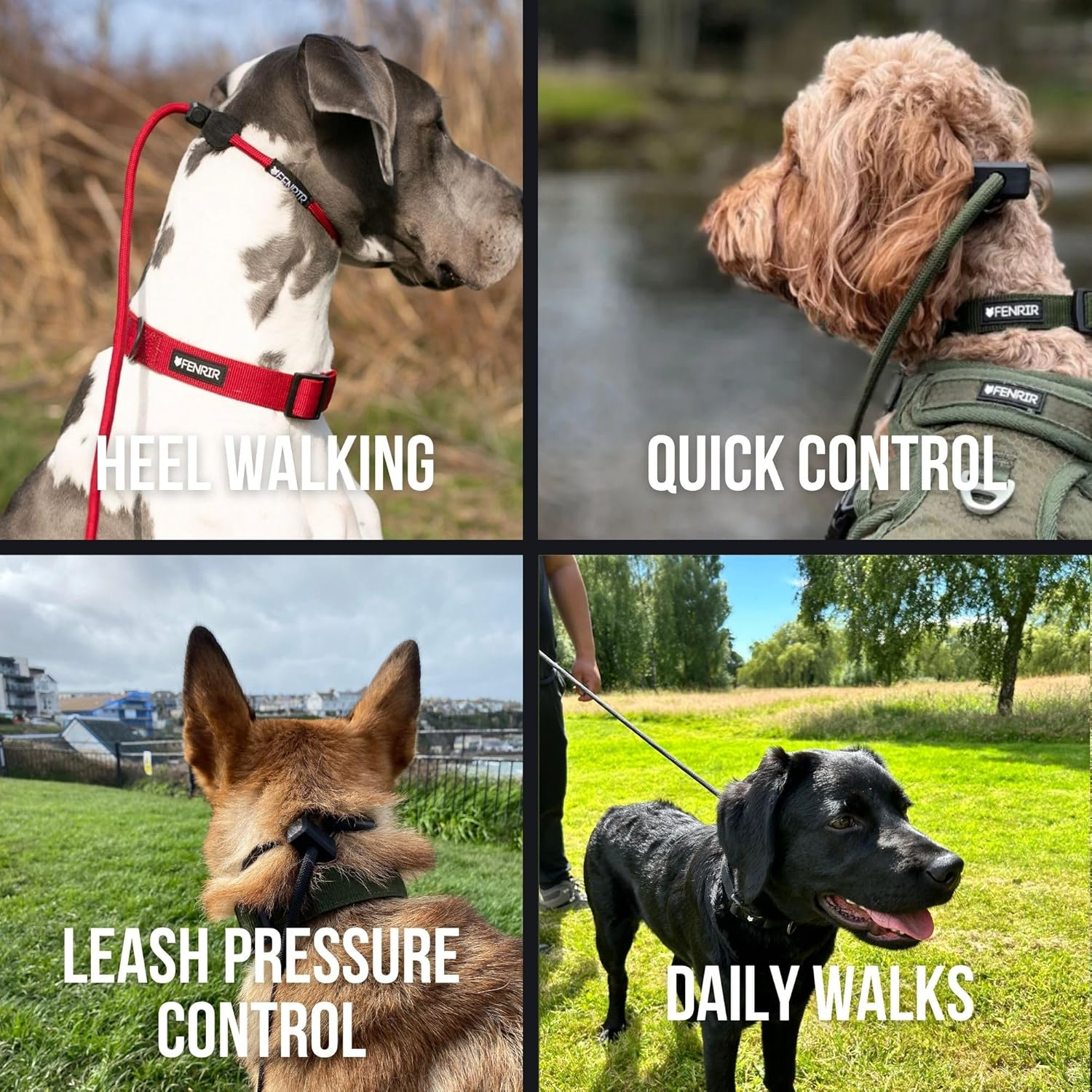 Fenrir Slip Leash 1.4M Professional Dog Training Lead to Stop Pulling, Perfect for Walks, Easy to Use, Spring Loaded Stopper, Light Weight and Durable