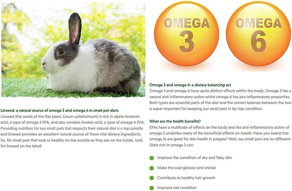 Selective Naturals Garden Sticks 60Gm - Treats Suitable for Rabbits and Guinea Pigs, Pea and Mint image number 2