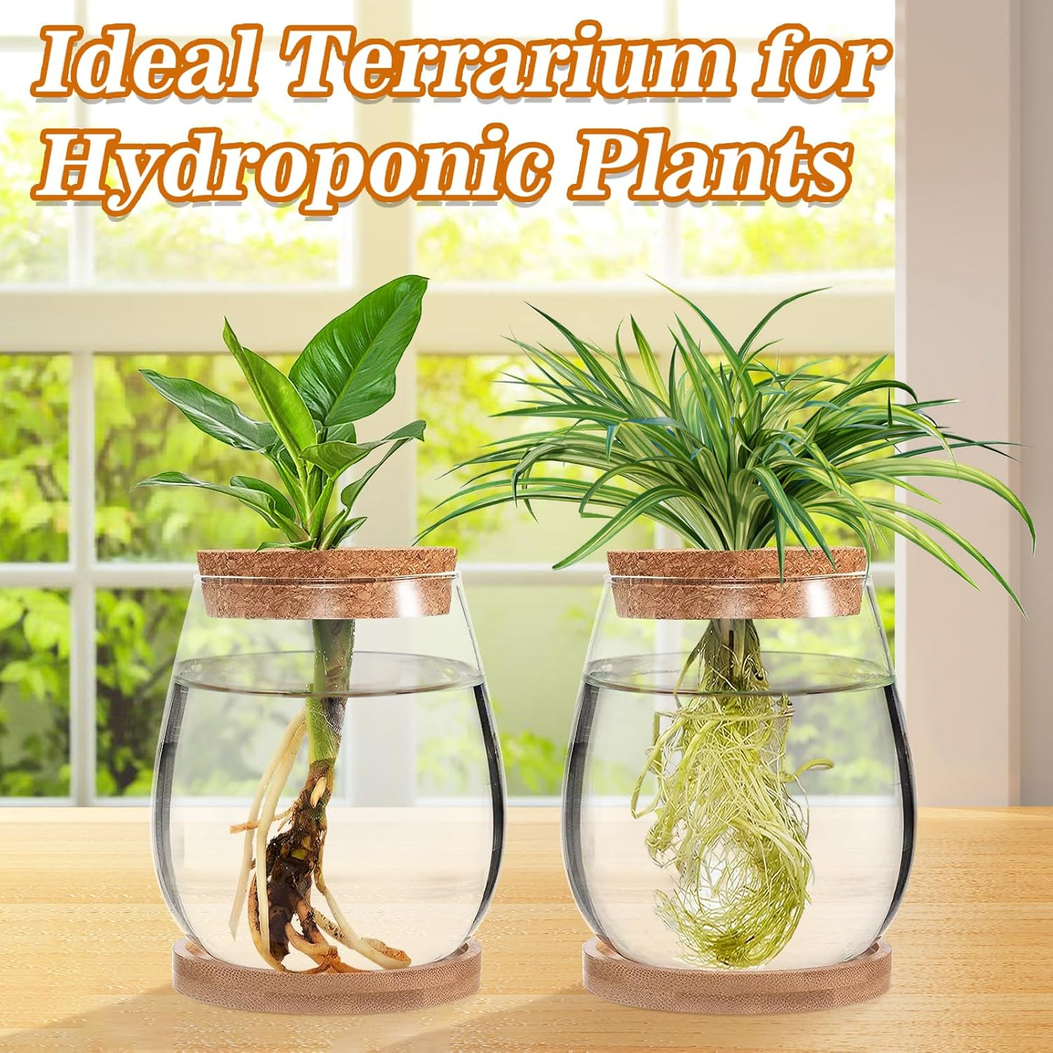 2 Pcs Separated Desktop Plant Terrarium - Plant Propagation Planter Water Station Planting Glass Vase with Lid & Wooden Stand for Growing Hydroponic Home Office Table Decoration