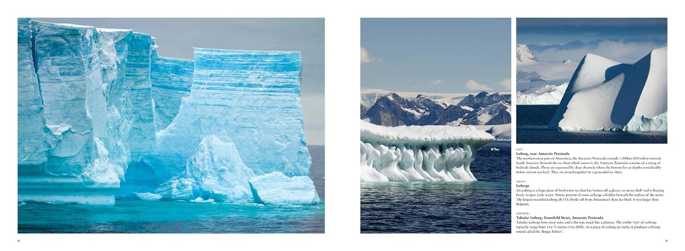 Antarctica: Life on the Frozen Continent image number 2