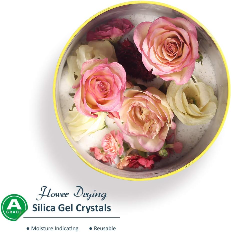 Wisedry Silicagel 2 LBS (0.98Kg) Silica Gel for Drying Flowers, Fine Crystals, Desiccant, Reusable Flower Repellent - Colour Display