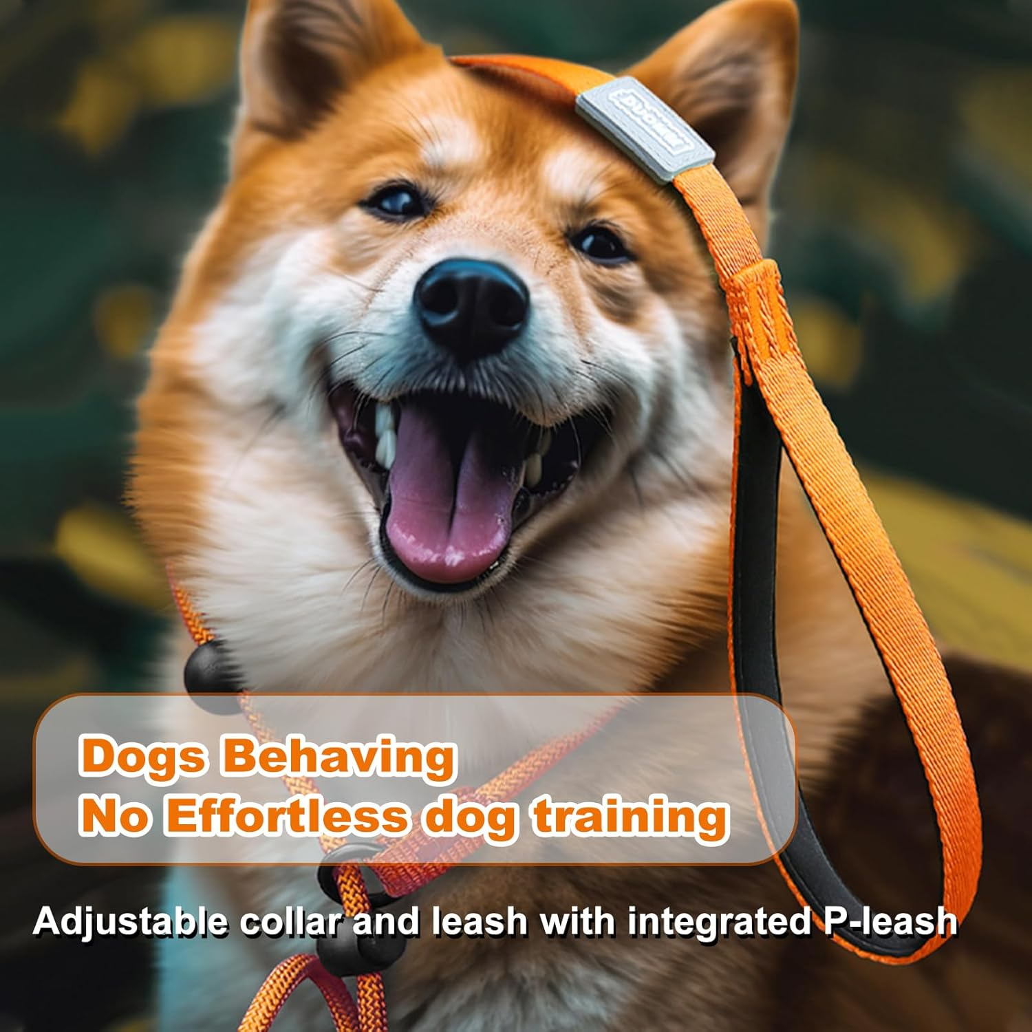 Dog Leash Slip Dog Leash Adjustable Slip Lead One-Piece Adjustable Dog Training Leash No Pull Training Lead Leashes and Collar P-Leash Pet Leash for Medium and Large Dog Orange image number 1