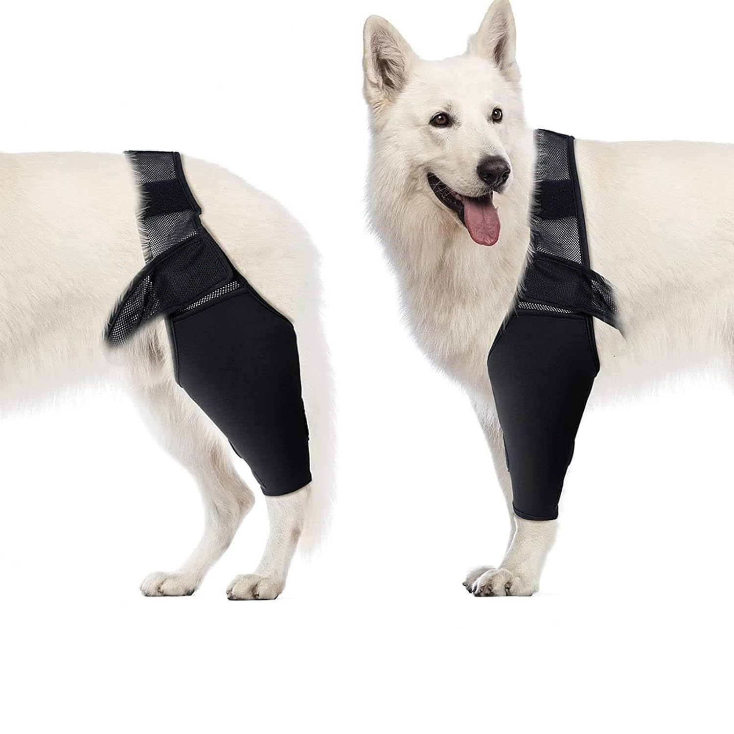 Dog Elbow Brace Protector Pads, Elbow Support Compression Wrap Knee Brace for Dogs Canine Elbow and Shoulder Support, Dysplasia, Arthritis, Elbow Calluses, Pressure Sores, Shoulder Dislocation(Xl) image number 5