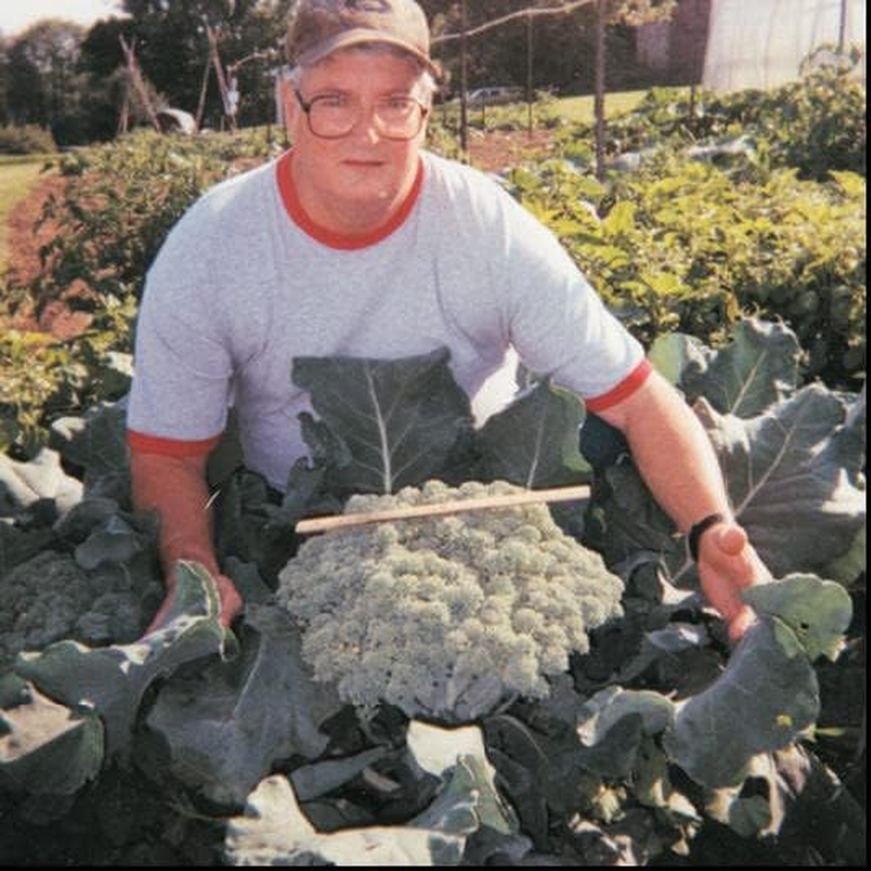 Rootblast - Grow Bigger Strong Plants image number 1