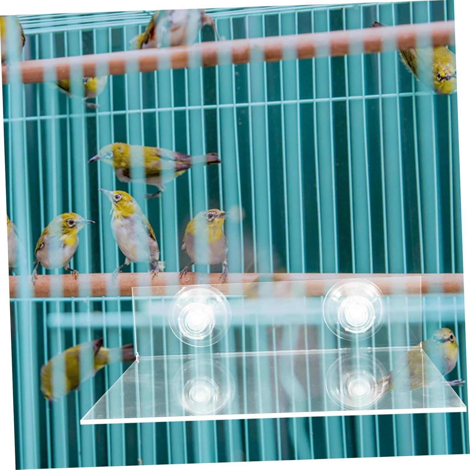 Parrot Wall Standing Platform Bird Platform Suction Cup Bird Perch Stand Training Playground image number 1