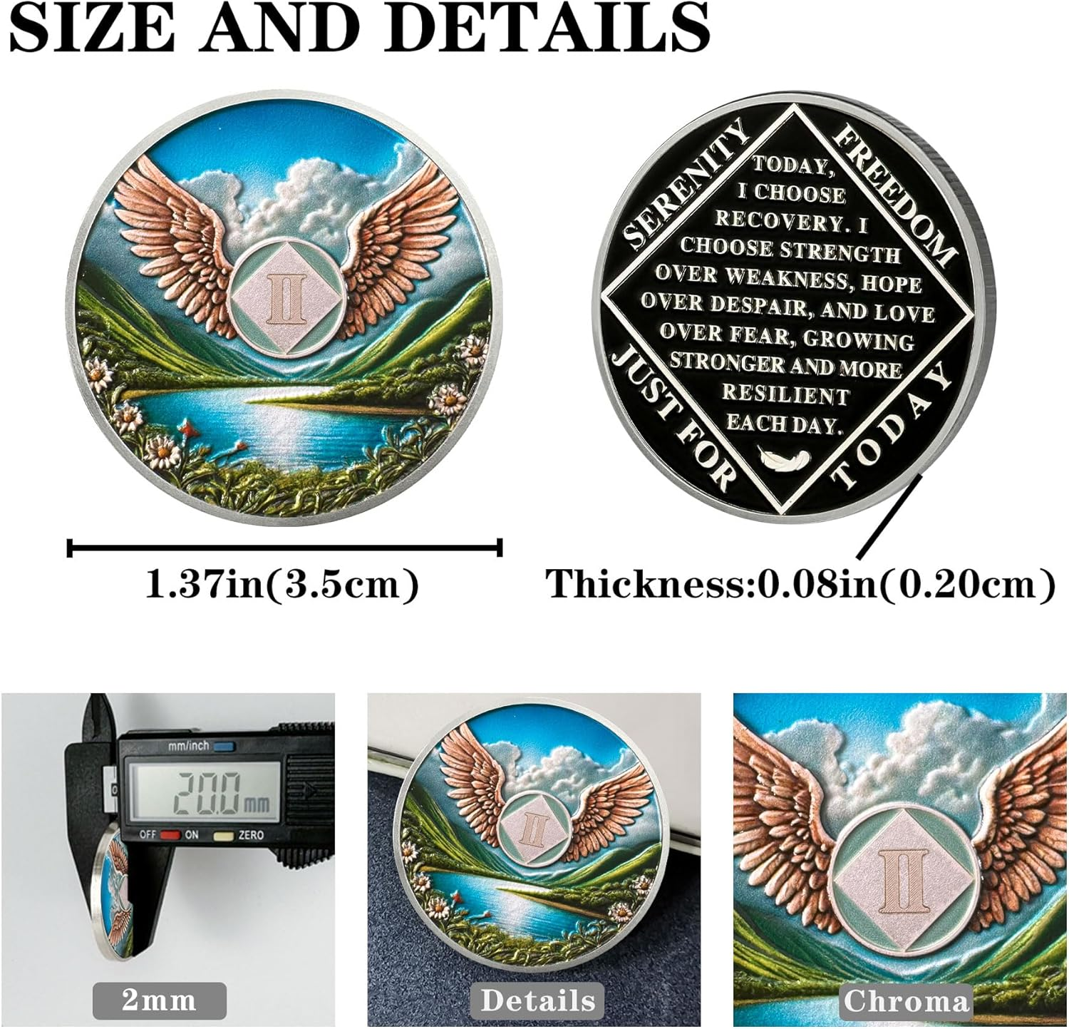 2 Year NA Sobriety Coin - NA Medallions with Wings and Scenic Sobriety Chips NA Coins - Ideal Narcotics Anonymous Gifts for Men ＆ Women Celebrating Recovery and Living Clean image number 1