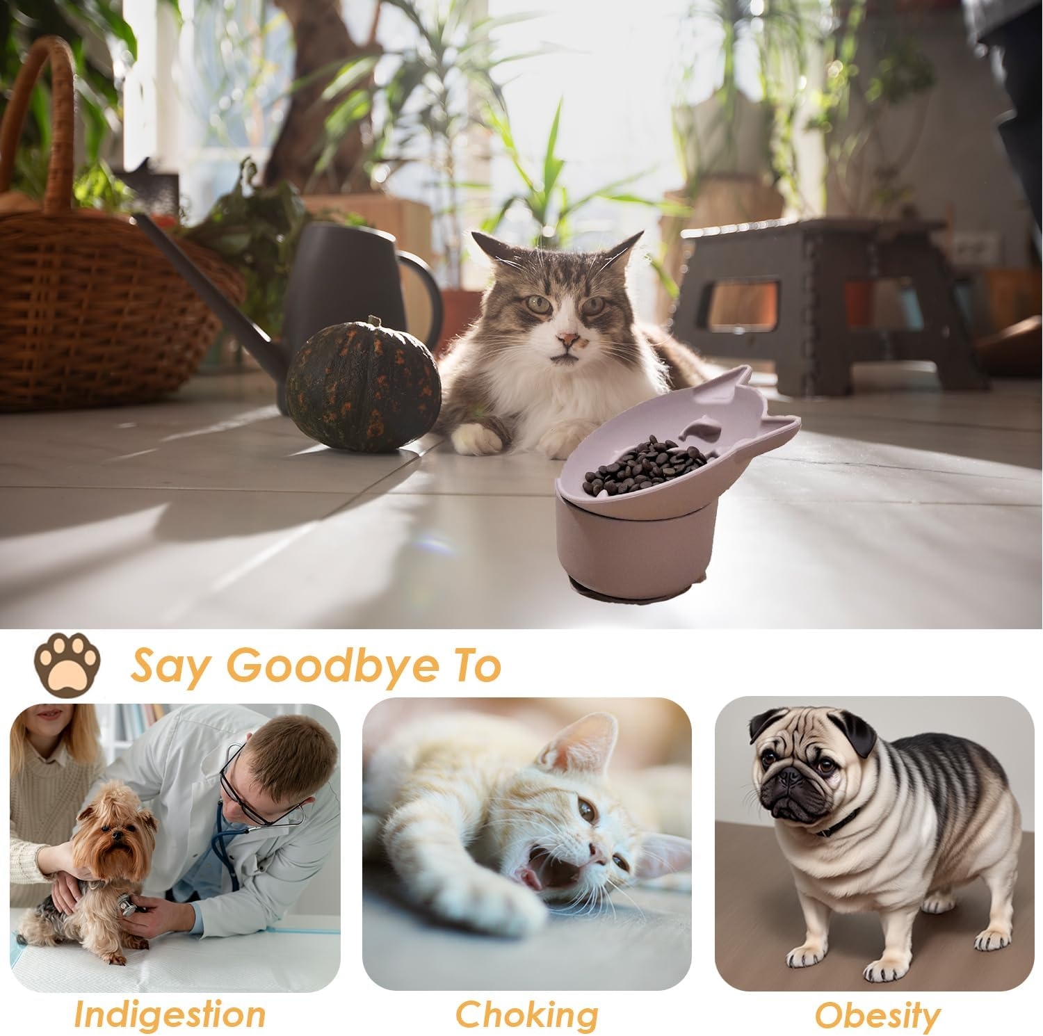 Elevated Cat Bowls Raised Cat Bowls for Food and Water, Slow Feeder Cat Food Dish Whisker Friendly, anti Vomit Cat Bowls Microwave and Dishwasher Safe, Great Height for Cat (Pink, 9.6X9.6X10Cm) image number 5