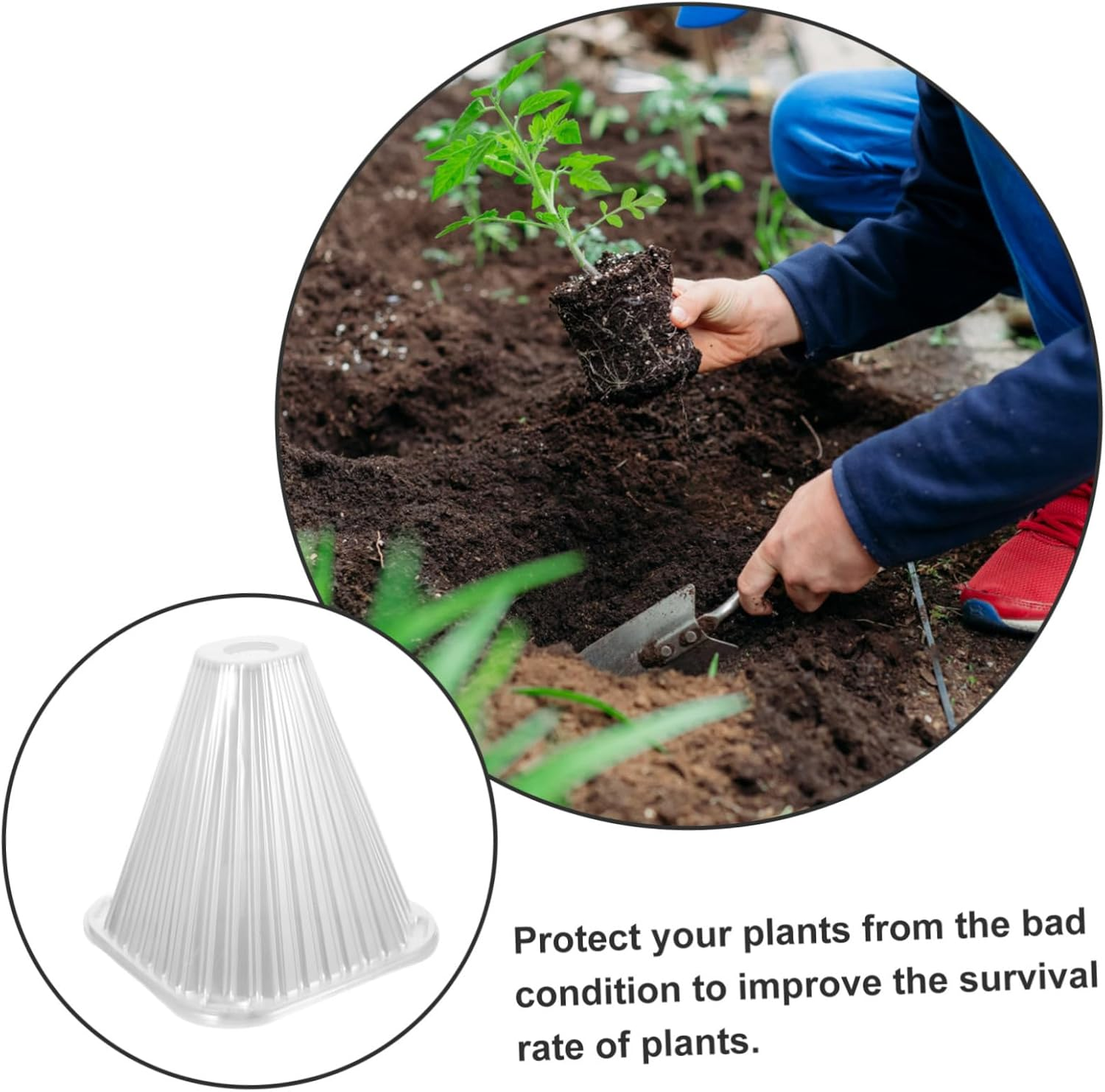 SEWOART Garden Cloche Dome and Frost Protection Plant Covers for Outdoor Gardening, Plastic Reusable Bell Jar with Sunshade and Snail Deterrent, Cone-Shaped Plant Protector for Vegetable image number 4