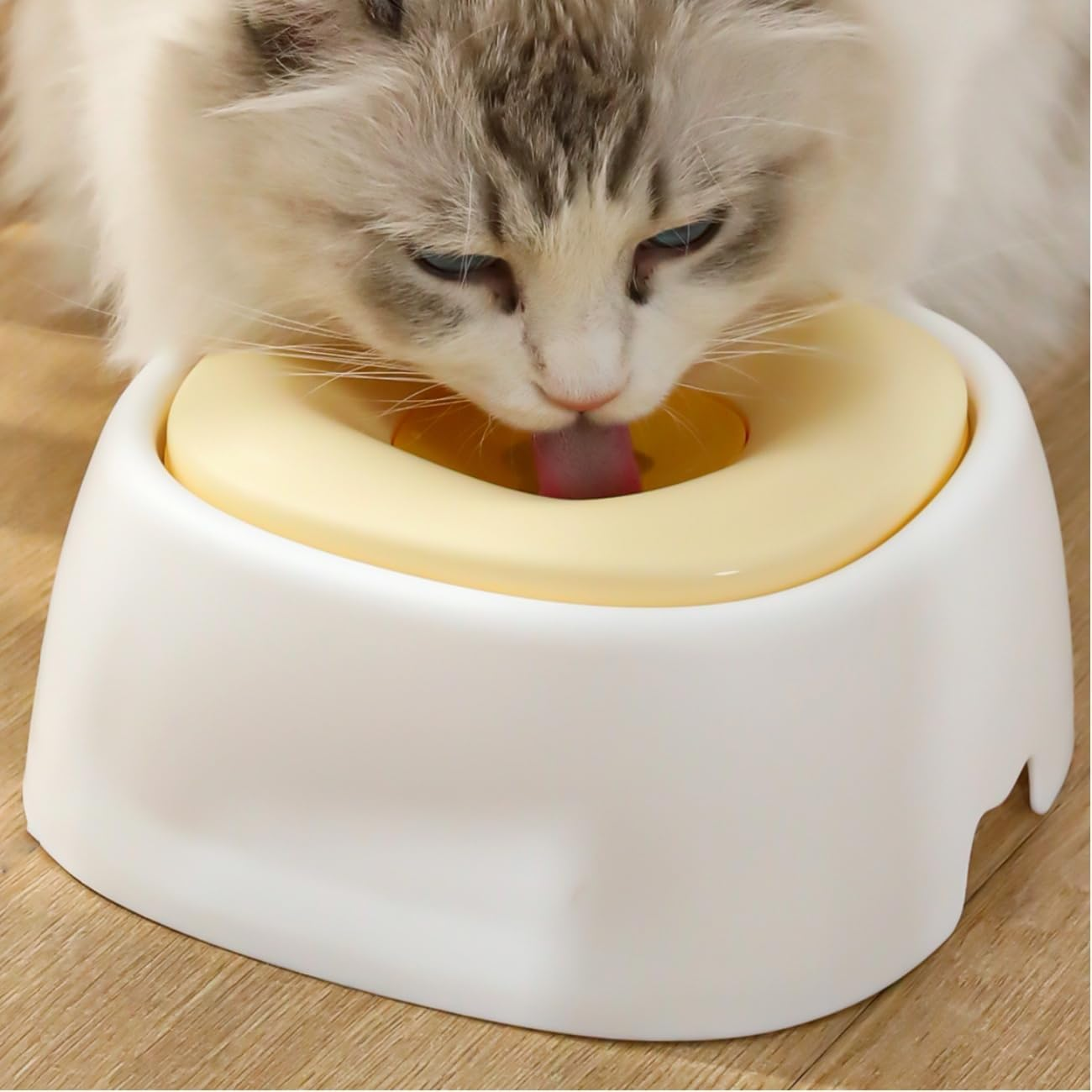 Wadt1500Ml No-Spill Dog Water Bowl, Anti-Slip Plastic Pet Dish for Dogs, Cats & Other Animals, Ideal Gift Choice (Pink) image number 6