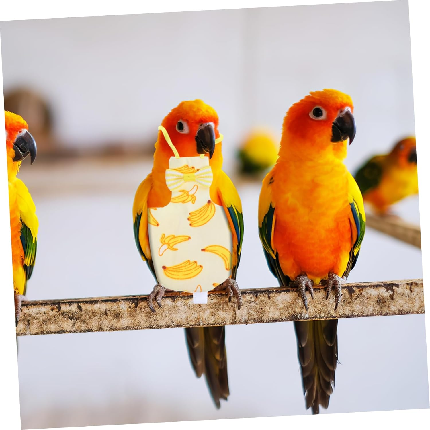 Hohopeti 2Pcs Parrot Diaper Nappy Flight Suit Comfortable and Washable Clothing for Pigeons Lightweight and Skin-Friendly Design for Outdoor Activities S image number 6