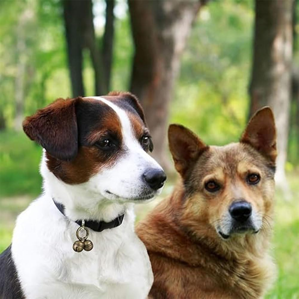 4 Pcs Cat Dog Collar Copper Bells Brass for Pet Tracking,4 Extra Loud Dog and Cat Bells,Copper Bells with Quick Clips, Other, Other, Other image number 3