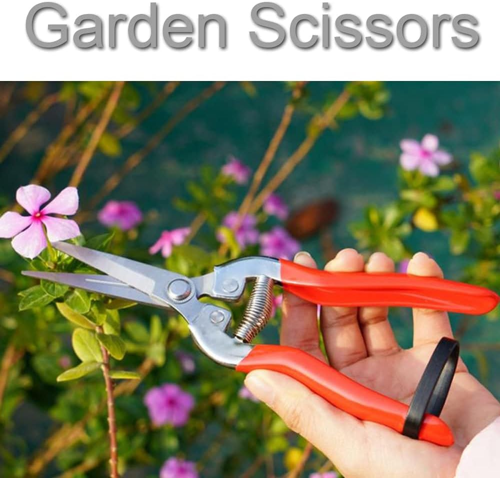 2 Pcs Sturdy Pruning Shear Garden Scissors Gardening Snips Professional Micro-Tip Pruning Tool for Arranging Flowers, Trimming