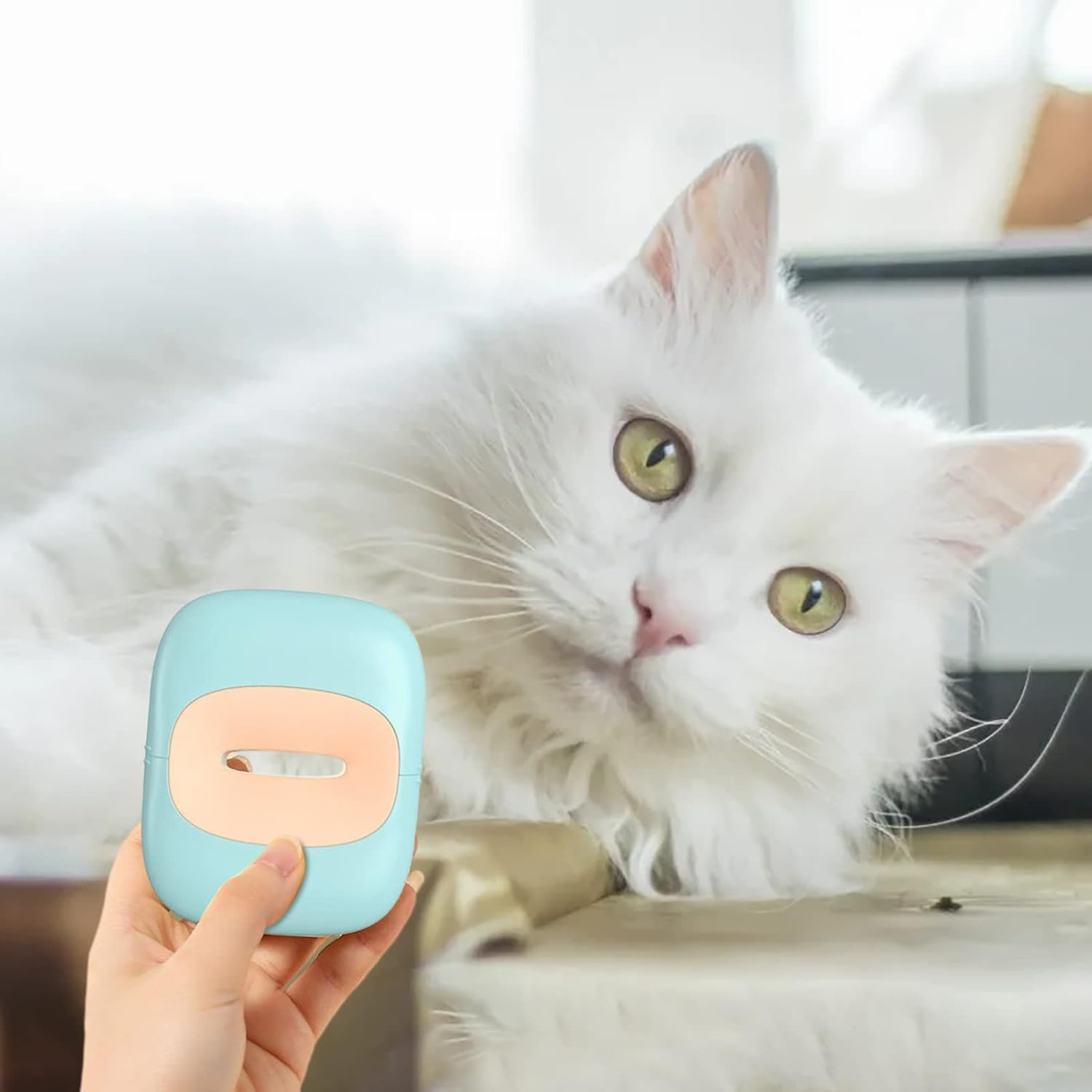 Cleaning Cat Brush - Massage Tool Cat Grooming Brush,Shell Shaped Grooming Brush for Dogs and Cats with Long and Short Hair Evikoo - Green image number 6