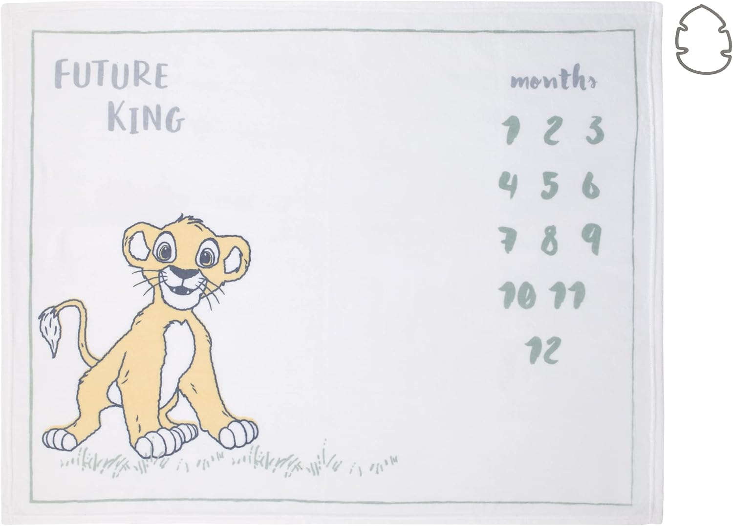 Disney Minnie Mouse White, Pink, and Aqua Super Soft Milestone Baby Blanket