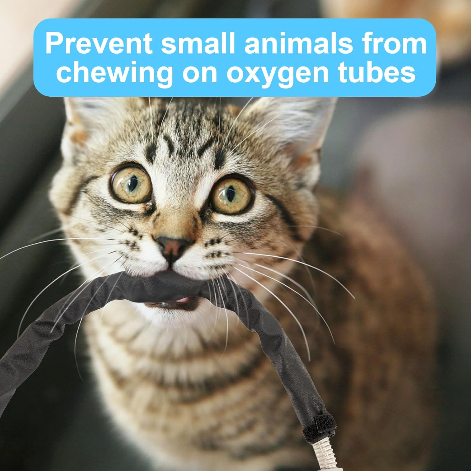 6.3Ft CPAP Hose Cover for Resmed Climatelineair Airsense 10 & 11, Cat Proof CPAP Tube Cover, Full Zippered Insulator Wrap Prevent Rainouts CPAP Hose Cover, Double-Sided Hose Wrap for Heated Tubing image number 1