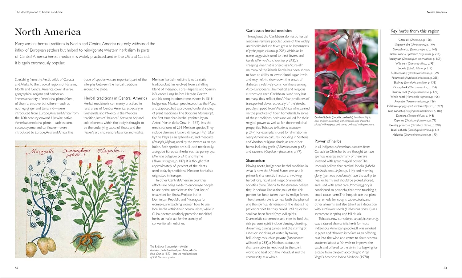 Encyclopedia of Herbal Medicine New Edition: 560 Herbs and Remedies for Common Ailments image number 1