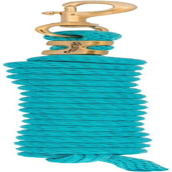 Weaver Leather Poly Lead Rope with a Solid Brass 225 Snap - Hurricane Blue image number 4