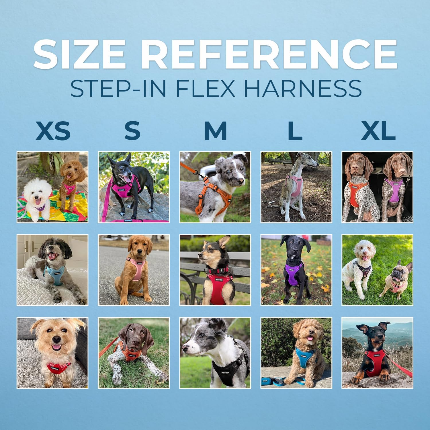 Best Pet Supplies Voyager Adjustable Dog Harness Leash Set with Reflective Stripes for Walking Heavy-Duty Full Body No Pull Vest with Leash D-Ring, Breathable All-Weather - Harness (Pink), XS