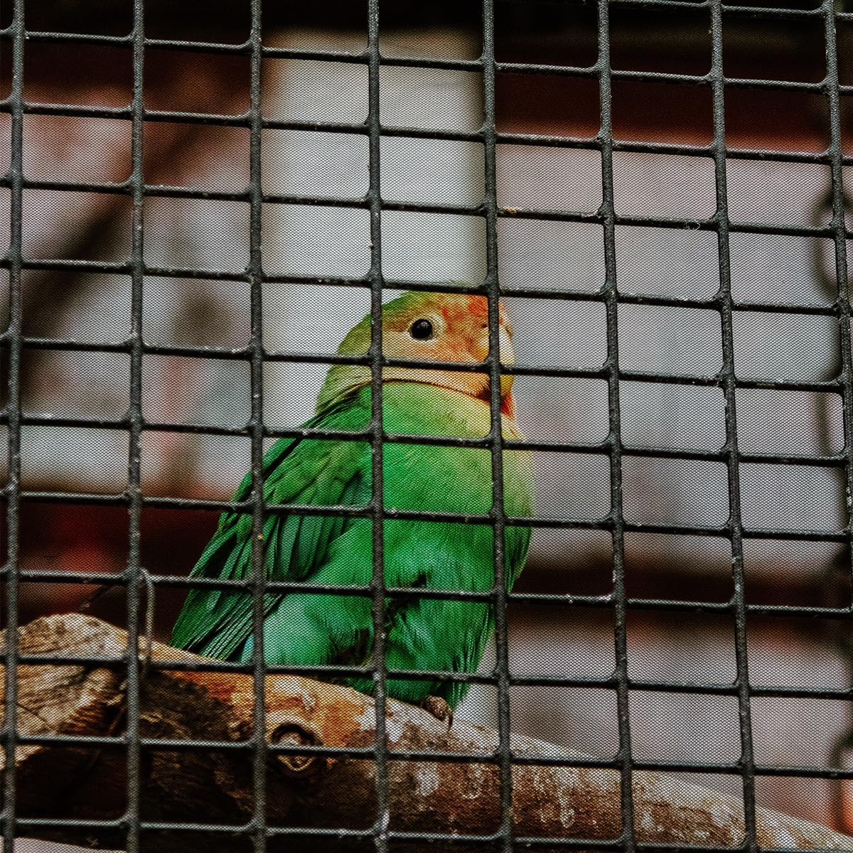 LICQIC Bird Cage Seed Catcher, Adjustable Birdcage Cover, Stretchy Bird Cage Cover (Black, 118.1 X 15 Inch/ 300 X 37 Cm)