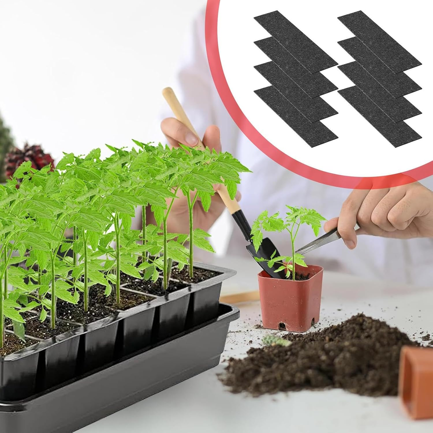 Capillary Matting for Plants - 8X Growing Mats, Absorbent Water Retention Layer, Durable Plant Propagation Sheet, Eco-Friendly Gardening Material | Efficient Greenhouse Seeding Starting Lawn - 33*20Cm image number 4