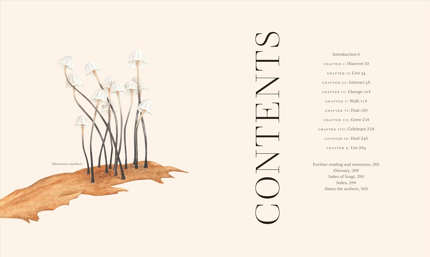 Fungi: Discover the Science and Secrets behind the World of Mushrooms image number 4