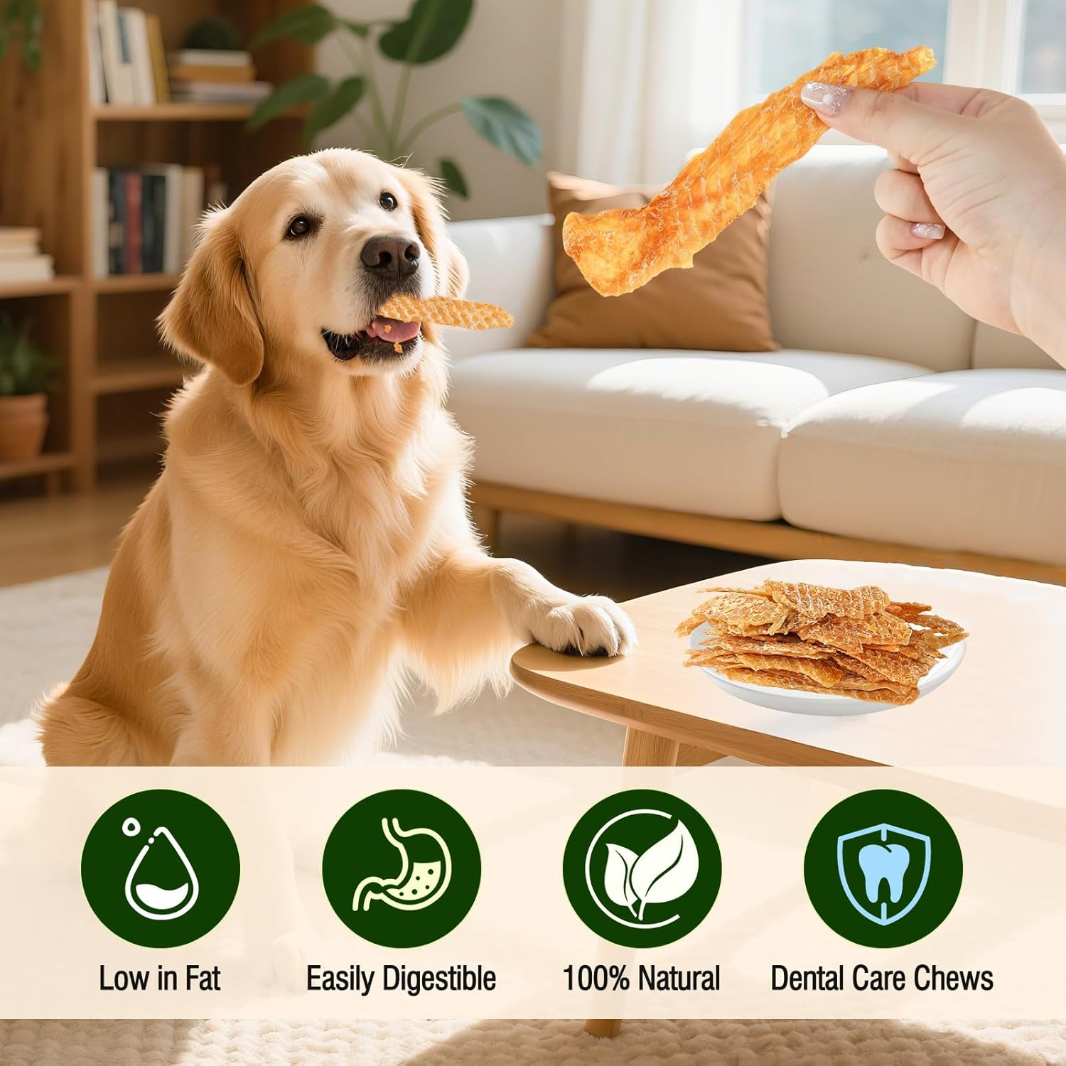 Chicken Jerky Dog Treats, Made with 100% Real Chicken Breast, Dog Training Treats Chews Healthy Snacks, High-Protein, Healthy & Easily Digestible image number 2