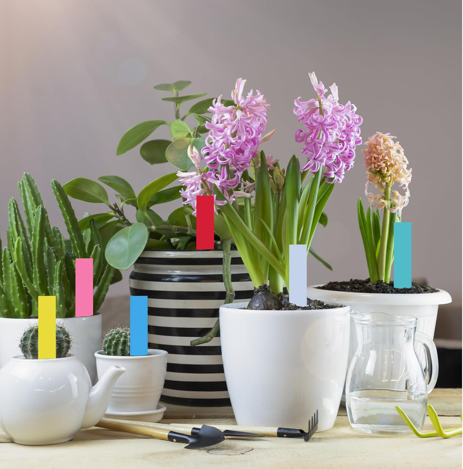 120Pcs 4 Inch Plant Labels, Durable PVC Weatherproof & Fade-Resistant Garden Markers for Outdoor Use, 6-Color Plant Tags for Vegetable Gardening, Nursery & Greenhouse for Gardeners & Plant Lovers image number 3