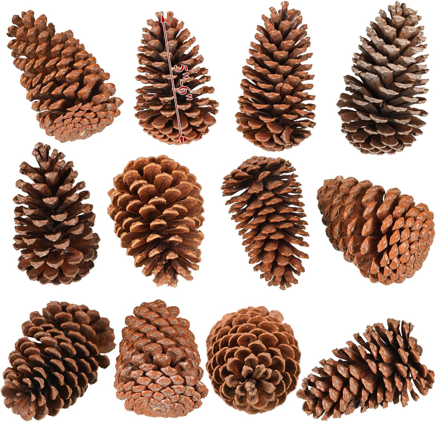 Huwena 12 Pcs Pinecones Large Natural Unscented Pine Cones Bulk Rustic Christmas Tree Ornaments Decorative No Chemicals for Crafts DIY Wreath Home Wedding Decoration (3-4 Inches) image number 2