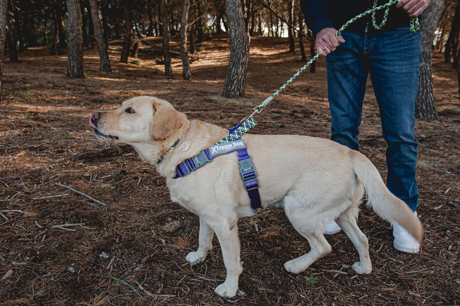 ARQUIVET Xtreme Dog Harness Piemonte Blue M (52-75 Cm) image number 3
