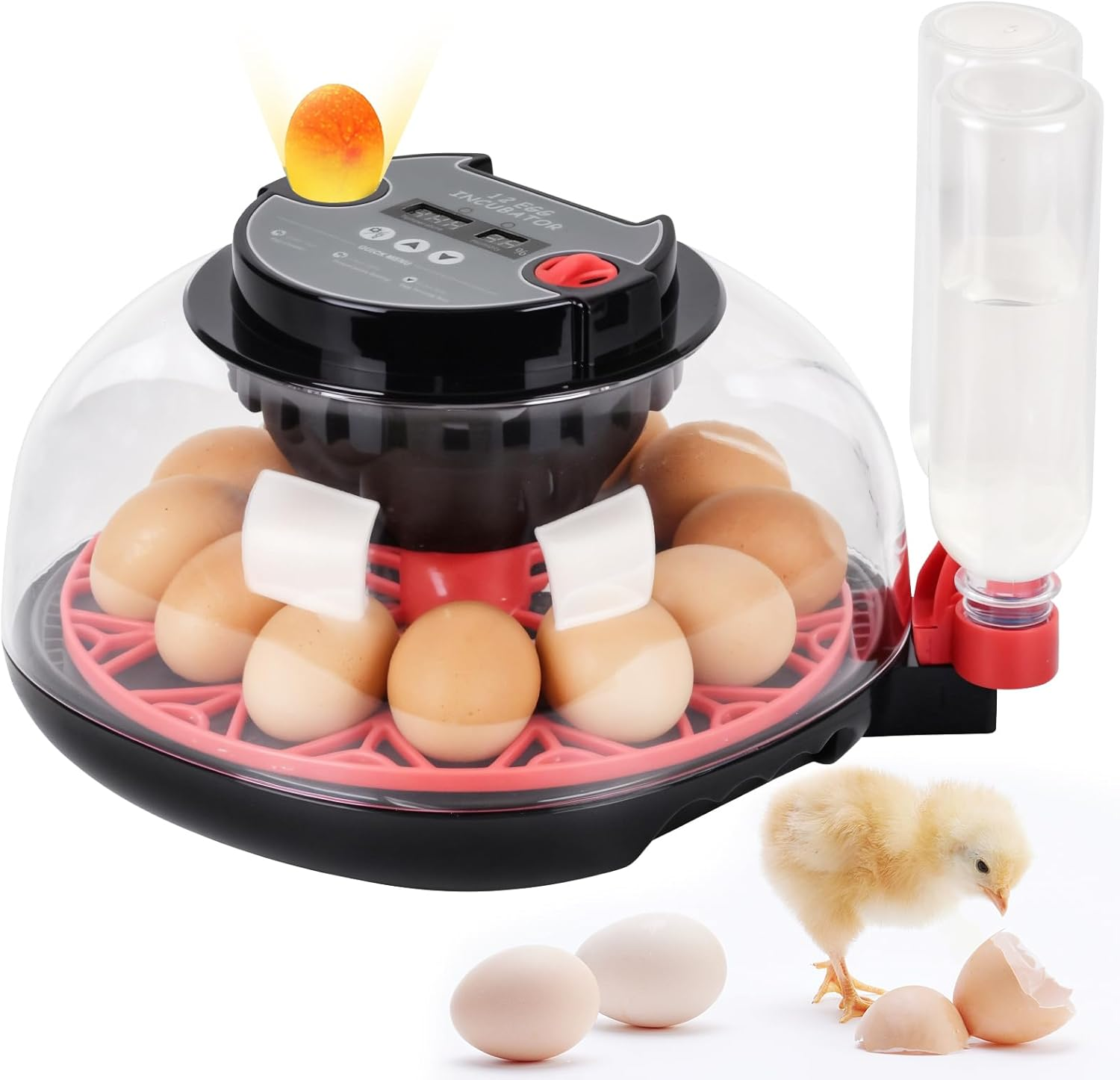 Advwin Incubators for Hatching Eggs, Automatic Egg Incubator with Temperature Control Humidity Display, 12 Egg Capacity for Chicken Duck Goose Eggs, Digital Display, Auto Turner, 360&deg; View