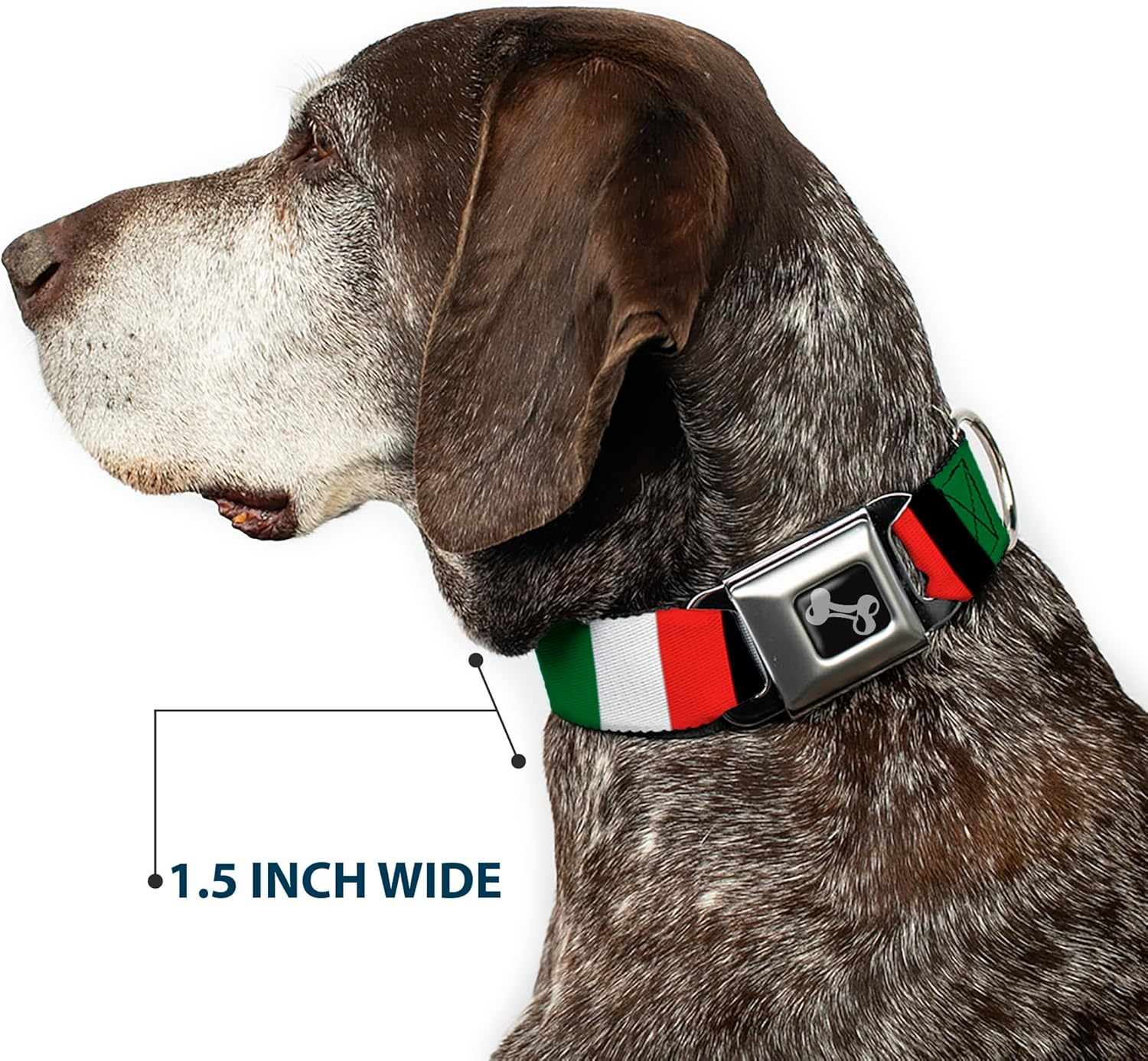 Dog Collar Seatbelt Buckle Italy Flags 11 to 17 Inches 1.0 Inch Wide image number 3