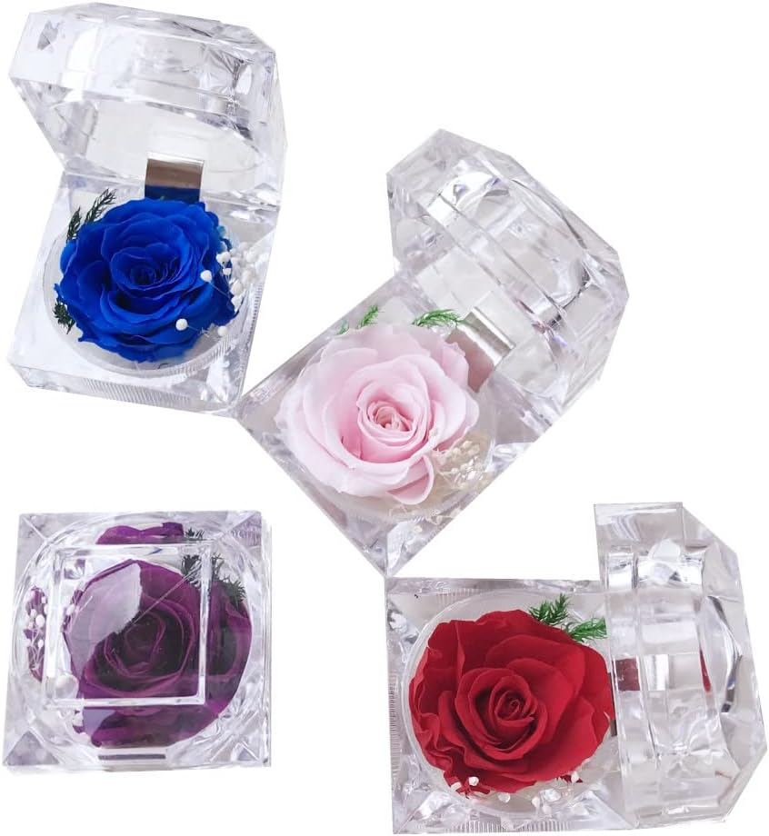 Preserved Rose Real Forever Rose in Mini Clear Ring Box, Eternal Flower Rose Gifts for Women Mom Girlfriend Grandma, Mothers Day, Anniversary, Valentines, Christmas, Birthday (Pink)