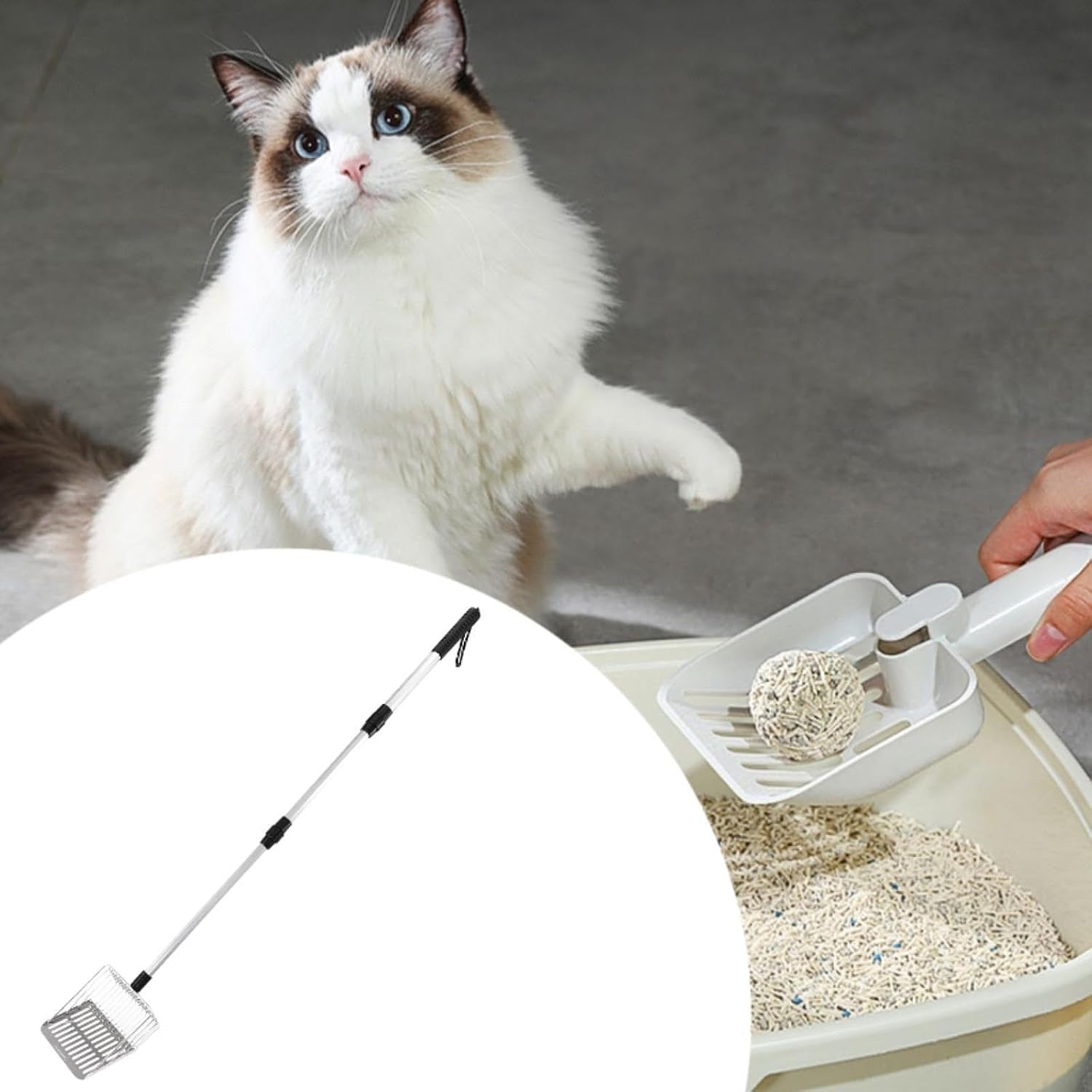 Fzaqwen Stainless Steel Cats Litter Detachable for Kitty Small Animals Rabbits image number 5